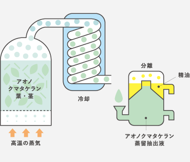 蒸留の仕組み