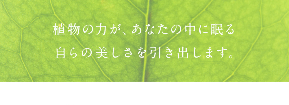 植物の力