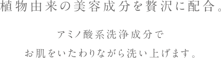 植物由来の美容成分を贅沢に配合。アミノ酸洗浄成分で お肌をいたわりながら洗い上げます。