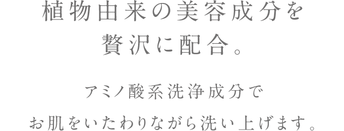 植物由来の美容成分を贅沢に配合。アミノ酸系洗浄成分で お肌をいたわりながら洗い上げます。