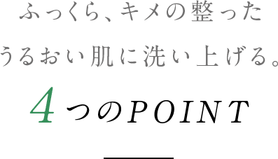 ふっくら、キメの整った うるおい肌に洗い上げる。4つのPOINT