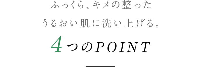 ふっくら、キメの整った うるおい肌に洗い上げる。4つのPOINT