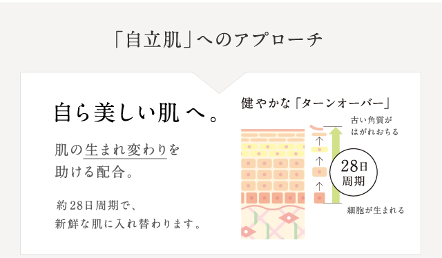 自立肌へのアプローチ