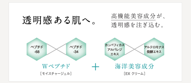 透明感ある肌へ。