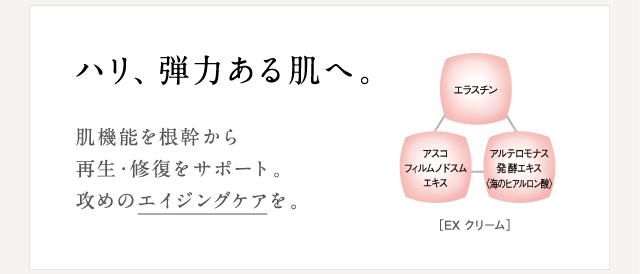 ハリ、弾力ある肌へ。