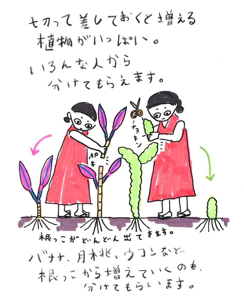 増える植物がいっぱい