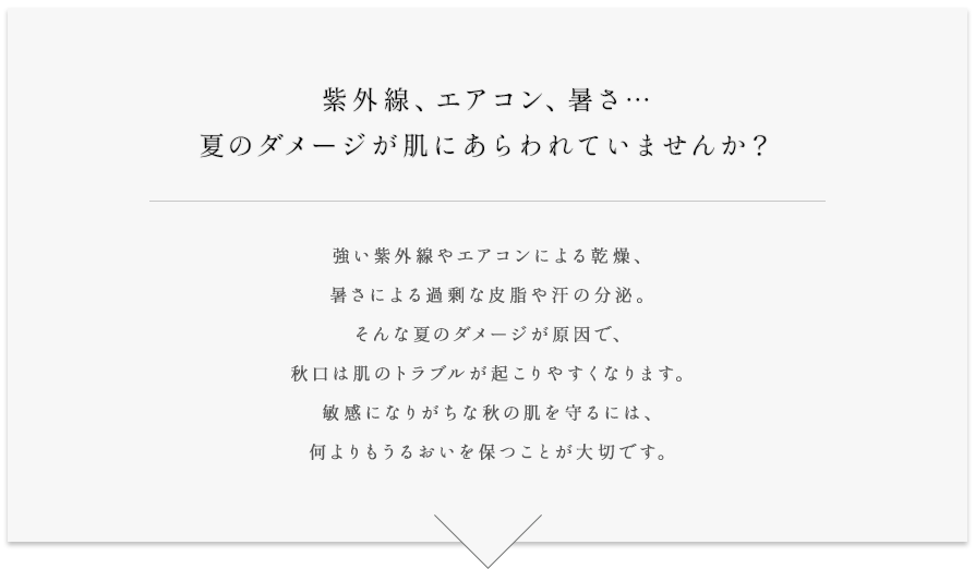 テカリ、ベタつきが気になる時季でも、肌は乾燥状態?