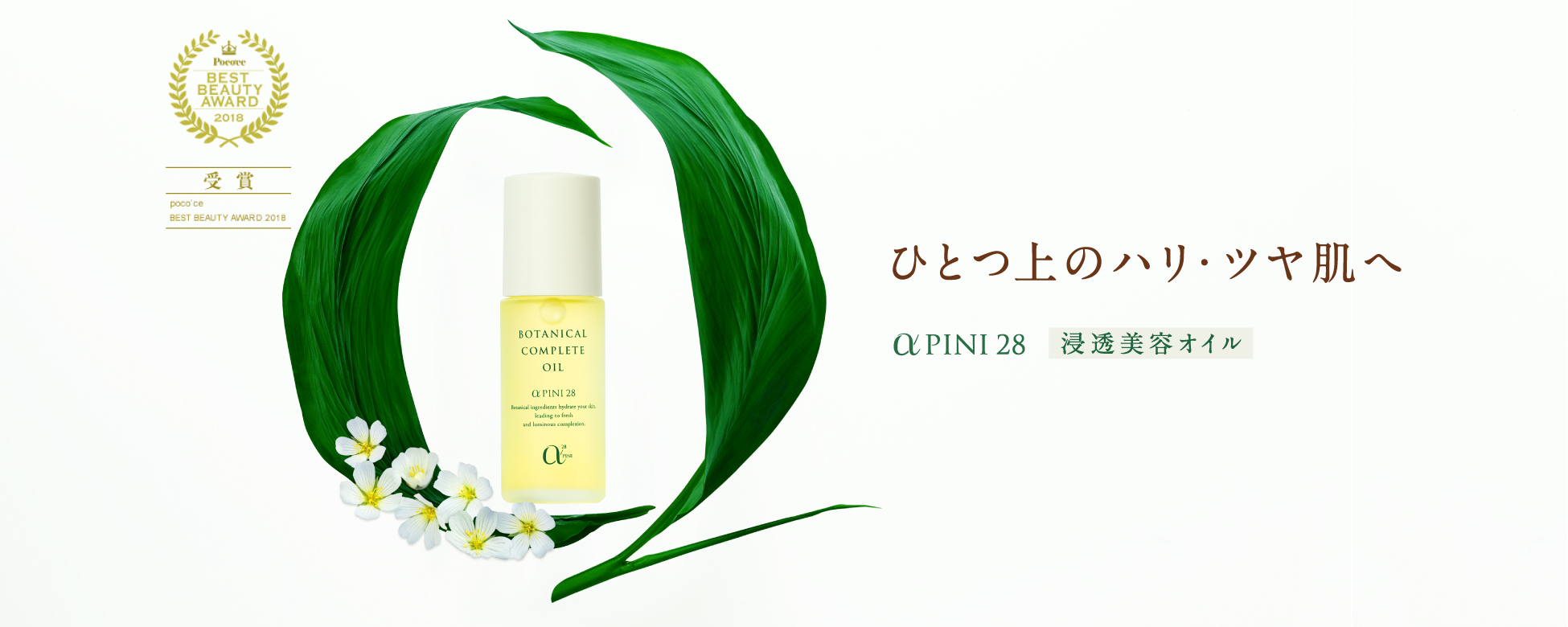 ひとつ上のハリ・ツヤ肌へ