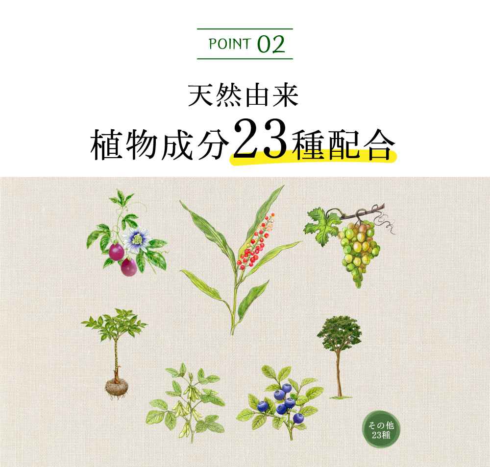 POINT2 天然由来植物成分23種配合