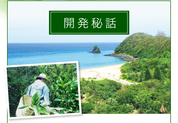 開発秘話