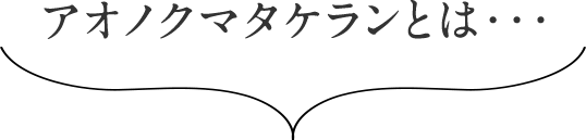 アオノクマタケランとは・・・