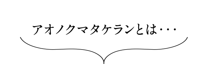 アオノクマタケランとは・・・